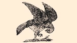 تست هوش | به عکس زیر نگاه کن و تو پنج ثانیه خرگوش رو پیدا کن 