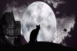 روانشناسی شخصیت | هشدار قرمز؛ کله‌‌شق‌ها این افرادند؟