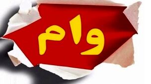 با کارت یارانه یکروزه وام بگیرید | پرداخت وام 300 میلیونی برای متقاضیان وام بدون ضامن