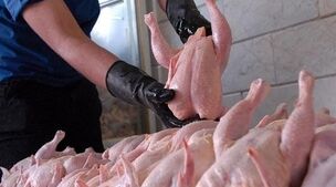 خبر وحشتناک درباره قیمت مرغ+جزئیات
