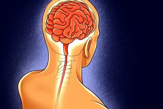 ۶ ترفند برای مبارزه با آلزایمر