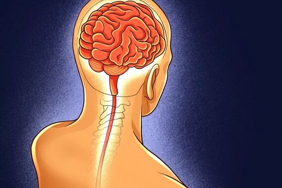 کاهش وزن چگونه بر مغز تاثیر می‌گذارد؟