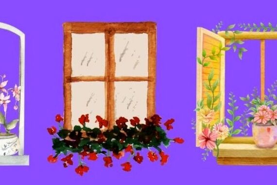 تست شخصیت‌شناسی ، یک پنجره را انتخاب کنید