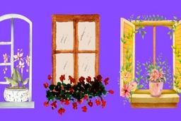 تست شخصیت‌شناسی ، یک پنجره را انتخاب کنید