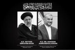 تصویر غمناک 2 پسر حسین امیرعبداللهیان در آغوش پدر | مراسم وداع با رئیس جمهور 