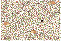 میوه بلوط را ظرف 5 ثانیه پیدا کن | تست تیز بینی