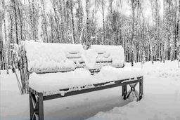 تست هوش | خرگوش بازیگوش کجا قایم شده !