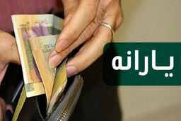 شارژ 2 برابری کالابرگ الکترونیک از خرداد ماه ۱۴۰۳ اعلام شد | سازوکار پرداخت یارانه تغییر کرد! 
