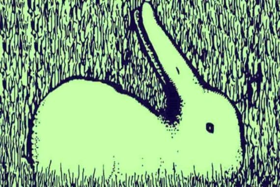 روانشناسی شخصیت | حیوون درون‌ات را بشناس !