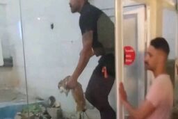 جزئیات جدید از ماجرای انتشار یک فیلم غیراخلاقی از باغ وحش مشهد