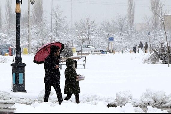 آژیر بنفش هواشناسی؛ آغاز یخبندان قطبی بی‌سابقه تهران از امروز | تهرانی‌ها زیر کولاک، برف و یخ  