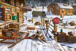 تست تیزبینی | خرس وحشی کجا قایم شده !