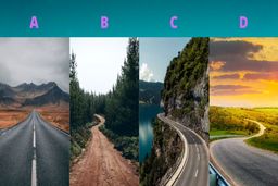 روانشناسی شخصیت | انتخاب بهترین مسیر زندگی فقط با یک کلیک !