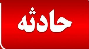 رعد و برق وحشتناک در بندر عباس درخت ها را به آتش کشید