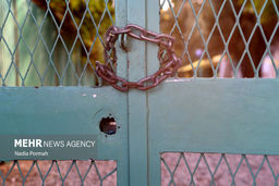 عکس های خوفناک خانه متروک داریوش مهرجویی | سرنوشت ترسناک از خانه داریوش مهرجویی