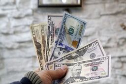 انفجار بزرگ در بازار قیمت دلار | قیمت دلار امروز 8 مرداد 1402