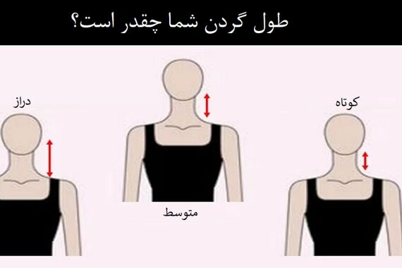 روانشناسی شخصیت | گردن زرافه‌ای‌‌ها باحال‌ترن یا گردن کوآلایی‌ها؟