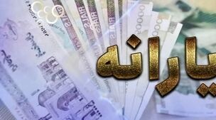 چه کسانی از یارانه ها بیشتر استفاده می کنند؟+ویدئو