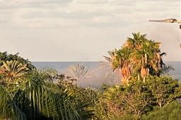 انفجار پهپاد حزب‌الله در نزدیکی منزل نتانیاهو | ویدئو