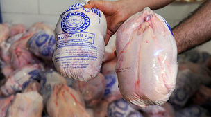 سر قیمت مرغ بریده شد | قیمت مرغ گرم کیلویی چند؟