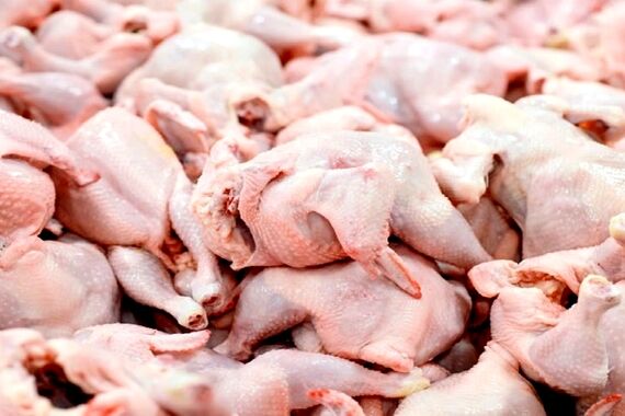 قیمت مرغ نصف می شود | خبر خوش دولت برای کاهش قیمت مرغ